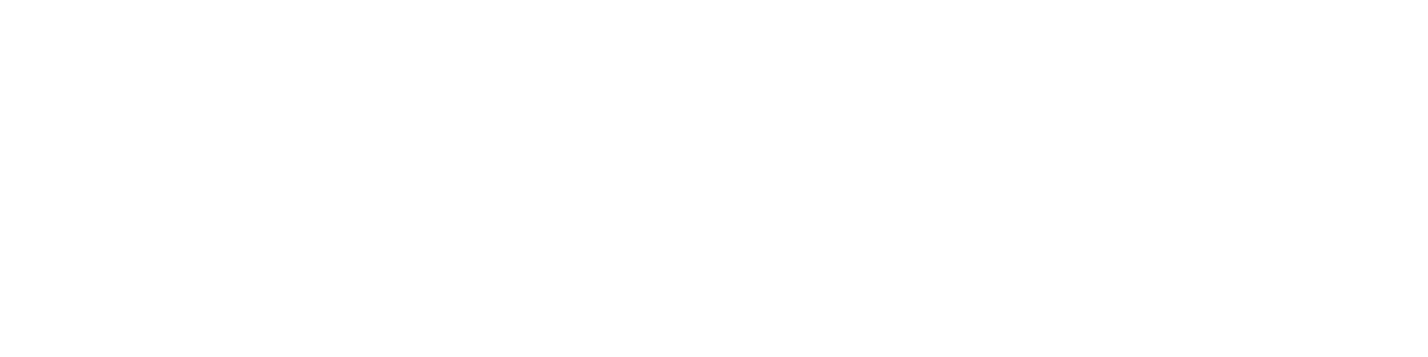 Punt.com logo